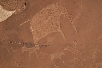 Rock engraving of an elephant, Twyfelfontein, Unesco World Heritage Site, Kunene Region, Namibia,