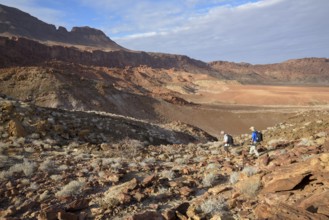 Hikers in the amphitheatre near De Riet, Huab Dry River, Kunene region, Namibia, Africa