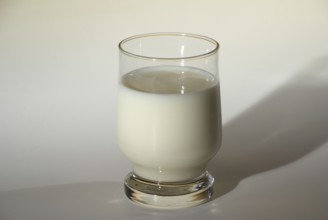 A glass of milk, Hamburg, Hamburg, Federal Republic of Germany