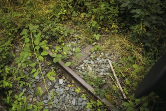 Symbolic photo on the subject of railway traffic standstill. An old track is overgrown with weeds.