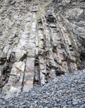 Complex folding of sedimentary rock strata in coastal cliffs at Hartland Quay, north Devon,