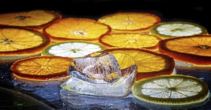 Transparent slices of fresh oranges and lemons on the glass with ice