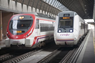 Trains at platform inside María Zambrano railway station Malaga, Spain, Europe