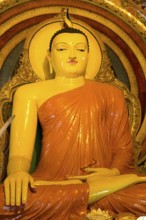 Large Buddha statue at Gangaramaya Temple, Colombo, Sri Lanka, Asia