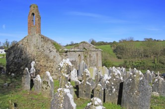 Seventeenth century Kilcredan church ruins and graveyard, County Cork, Ireland, Europe