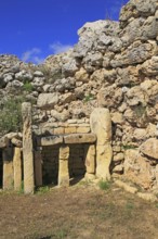 Ggantija neolithic megalithic 5500 years old prehistoric temple complex site Gozo, Malta, Europe