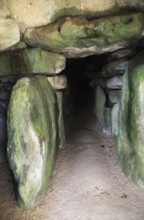 Neolithic long barrow burial monument, West Kennet, near Avebury, Wiltshire, England, UK