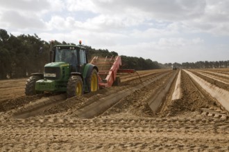 John Deere tractor pulling de-stoning machinery in preparation for planting potatoes, Shottisham,