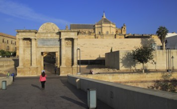 Sixteenth century Renaissance gate Puerta del Puente historic gateway and cathedral buildings,