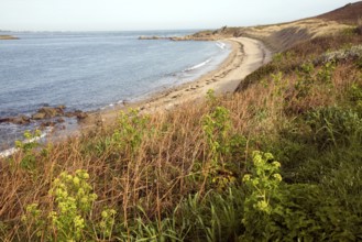 Bears beach, Island of Herm, Channel Islands, Great Britain