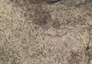 Texture of a boulder with moss and lichen