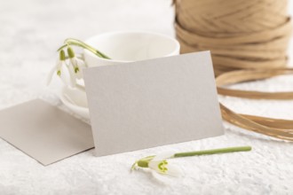 Gray paper invitation card, mockup with galanthus snowdrop flowers on gray concrete background.