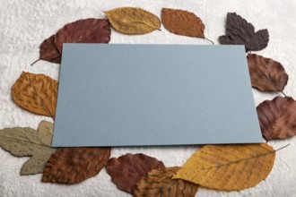 Blue paper business card with yellow and brown autumn leaves, mockup on gray concrete background.