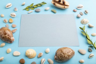 Composition with gray paper sheet, seashells, green boxwood. mockup on blue pastel background.