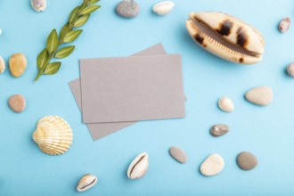 Composition with gray paper business cards, seashells, green boxwood. mockup on blue pastel