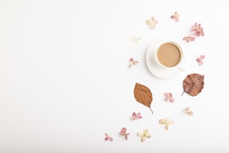 Composition with brown beech autumn leaves, hydrangea flowers and cup of coffee. mockup on white