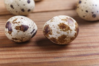 Raw quail eggs on a brown wooden background. with copy space