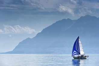 Sailing ship, sailboat, sailing, boat, ship, wind, blue, weather, summer, clouds, travel, holiday,