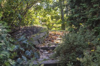 Cottage garden with stone stairs and retaining wall, Modern landscape design