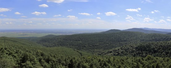 Panorama of the Palatinate Forest