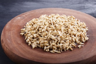 Heap of germinated oats on brown wooden board, close up, side view