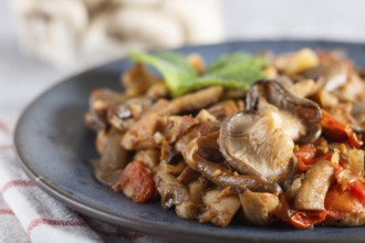 Fried oyster mushrooms with tomatoes on gray concrete background. side view, close up