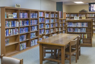 Books fill shelves at a small town library in Rockville, Indiana, USA, North America