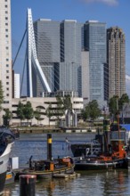 The Maritime Museum, outdoor area in the Leuvehaven, in Rotterdam, many old ships, boats, exhibits