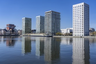 Kattendijkdok, harbour basin, high-rise residential buildings, apartment buildings, old harbour