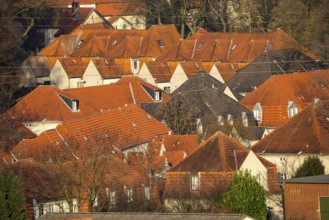 Schüngelberg housing estate, former colliery housing estate, Schüngelbergsiedlung mining estate,