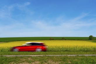 Country road by a flowering rape field, landscape near Mülheim an der Ruhr, Germany, Europe