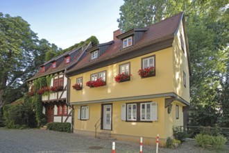 Red half-timbered house overgrown with ivy and yellow building, overgrown, yellow, red, plant