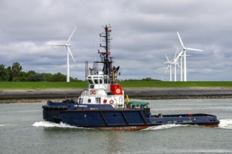 Harbour tug VB Emerald in the Western Scheldt, entering the harbour of Vlissingen, Zeeland,