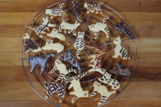 Swabian cuisine, Swabian Christmas biscuits, cookie cutters, shortbread biscuits, cat figures,