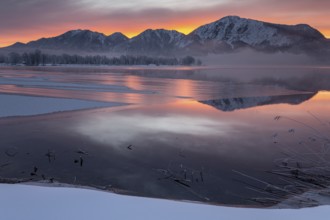 Mountains reflected in lake, dawn, fog, winter, snow, icy, Lake Kochel, Alpine foothills, Bavaria,