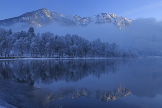 Mountains reflected in lake, winter, snow, evening light, Lake Kochel, foothills of the Alps,