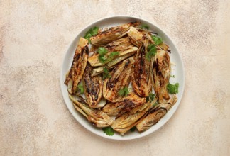 Baked, oven-baked fennel, with spices, in olive oil, homemade, no people