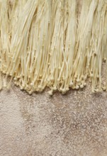 Enoki mushrooms, raw, top view, close-up