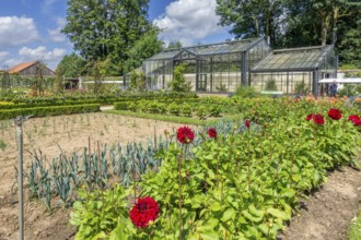 Kitchen garden with greenhouse in summer at Kasteel van Gaasbeek, originally 13th century medieval