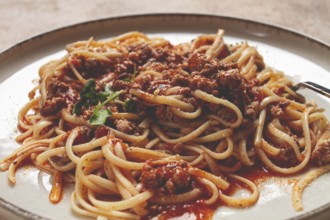 Spaghetti Bolognese, top view, close-up, without people, homemade