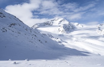 Snow-covered mountain landscape, mountain peak Monte Cevedale and glacier Zufallferner and