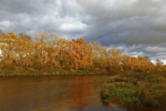 Autumn foliage colouring on the banks of the Mulde river near Dessau, Autumn atmosphere in the