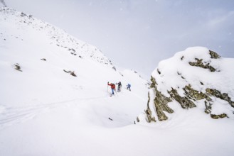 Three ski tourers in snowfall, ascent to Madritschspitze, snow-covered mountain landscape, Ortler