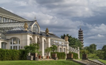 Temperate House, the largest Victorian greenhouse in the world, with the historic Great Pagoda in