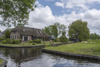 A rural house on the canal surrounded by green landscape and trees under a cloudy sky, Giethoorn,