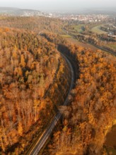 Aerial view of a forest in autumn with tracks and a town visible on the horizon, Hermann Hesse