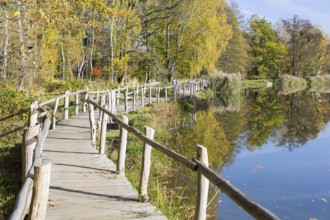 Winding wooden footbridge with railings in autumn, Lake of Friendship, Königsbrücker Heide, Saxony,