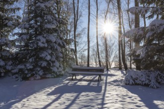 Snow-covered bench in the winter forest, spoil tip from the former Deutschlandschacht in Oelsnitz