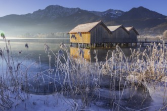 Boat huts, icy shore, lake, morning light, fog, snow, winter, mountains, Lake Kochel, Schlehdorf,