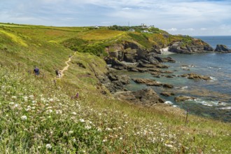 Lizard Point, the southernmost point of England, Cornwall, England, Great Britain